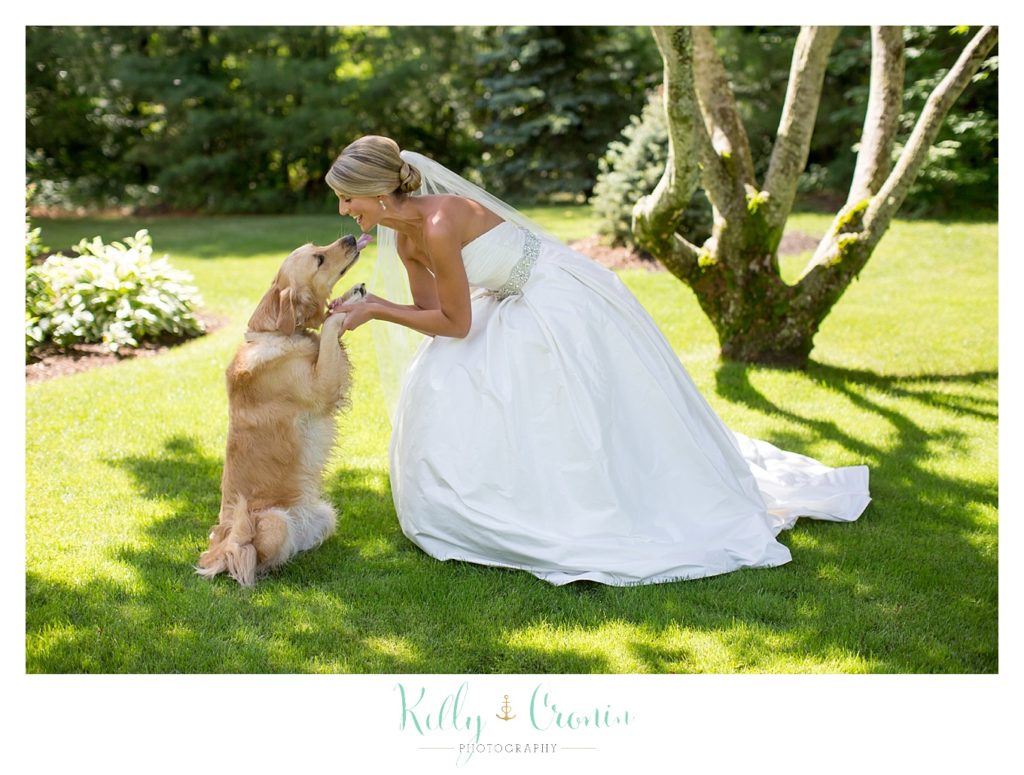 A bride plays with her dog  | Kelly Cronin Photography | Cape Cod Wedding Photographer
