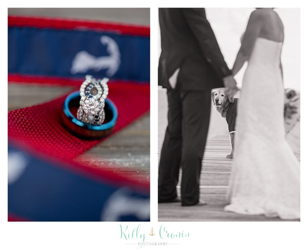A married couple holds hands | Kelly Cronin Photography | Cape Cod Wedding Photographer