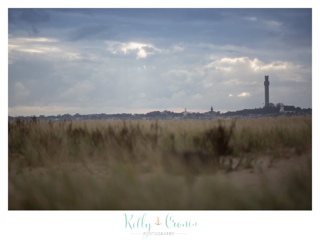A filed has grass | Kelly Cronin Photography | Cape Cod Wedding Photographer