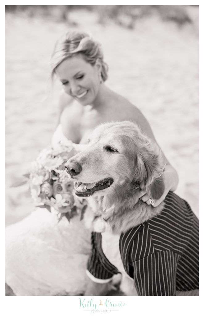 A woman sits with her dog | Kelly Cronin Photography | Cape Cod Wedding Photographer