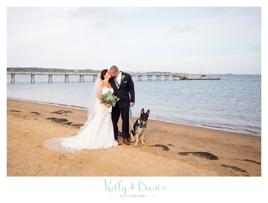 A German Shepherd sits next to his people | Kelly Cronin Photography | Cape Cod Wedding Photographer