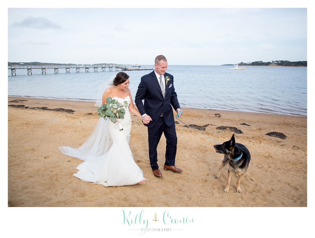 A dog walks with his people | Kelly Cronin Photography | Cape Cod Wedding Photographer