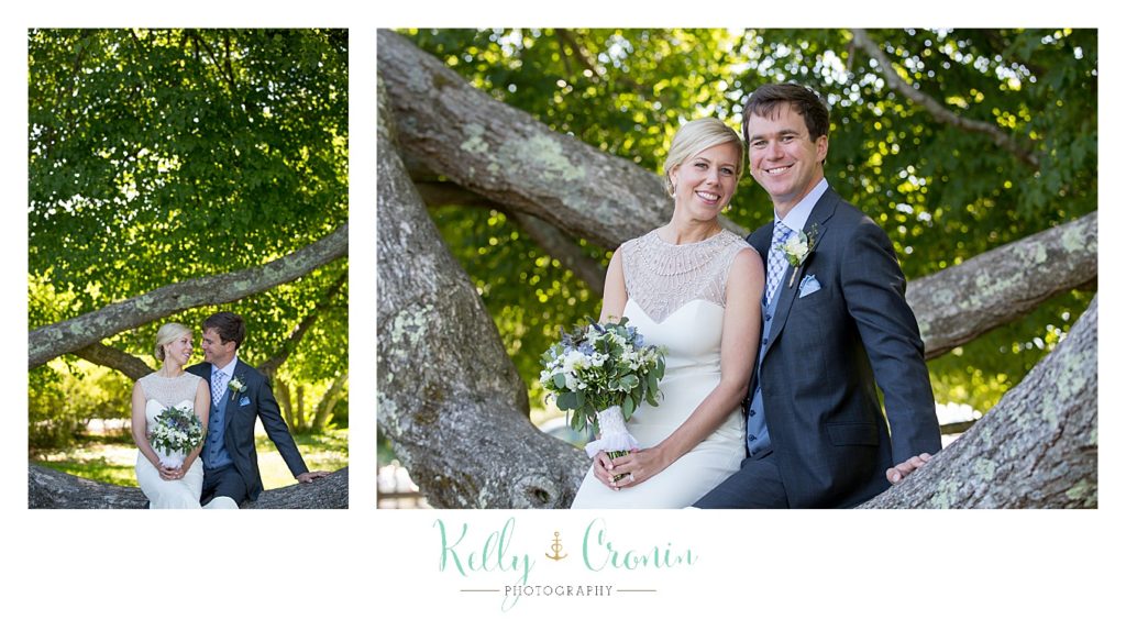 A bride and groom sit in a tree | Kelly Cronin Photography | Ocean Edge Resort and Golf Club