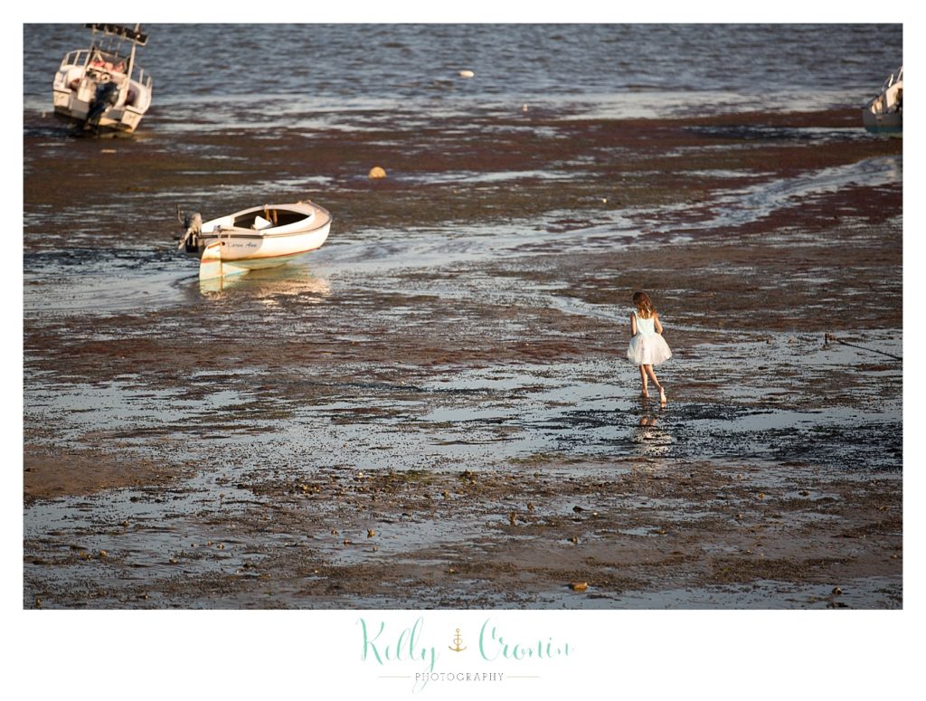 Birds float on the water | Wedding Photographer in Cape Cod | Kelly Cronin Photography