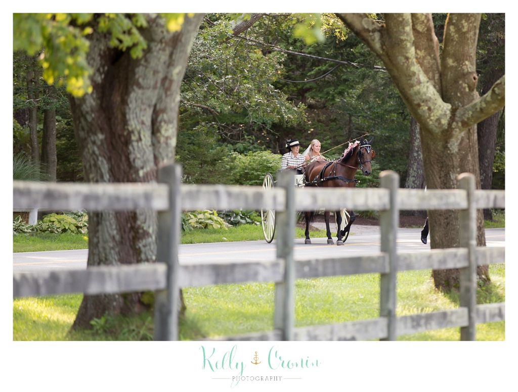A bride rides in a carriage | Kelly Cronin Photography | CJ's Ranch