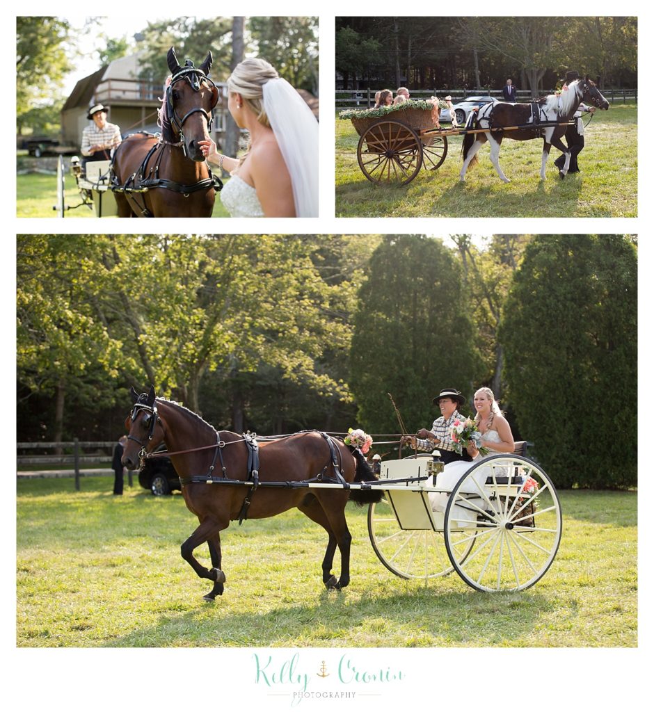 A bride takes a ride in a horse drawn carriage | Kelly Cronin Photography | CJ's Ranch