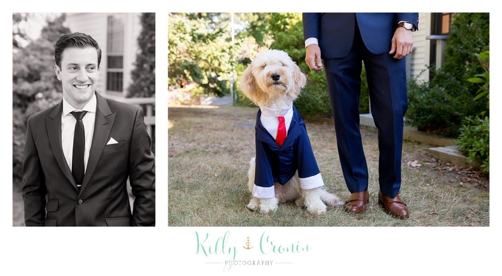 A dog stands in a tux. 