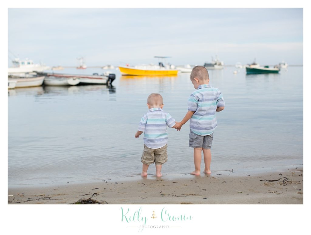 Two small boys hold hands and stand at the edge of the shore. 