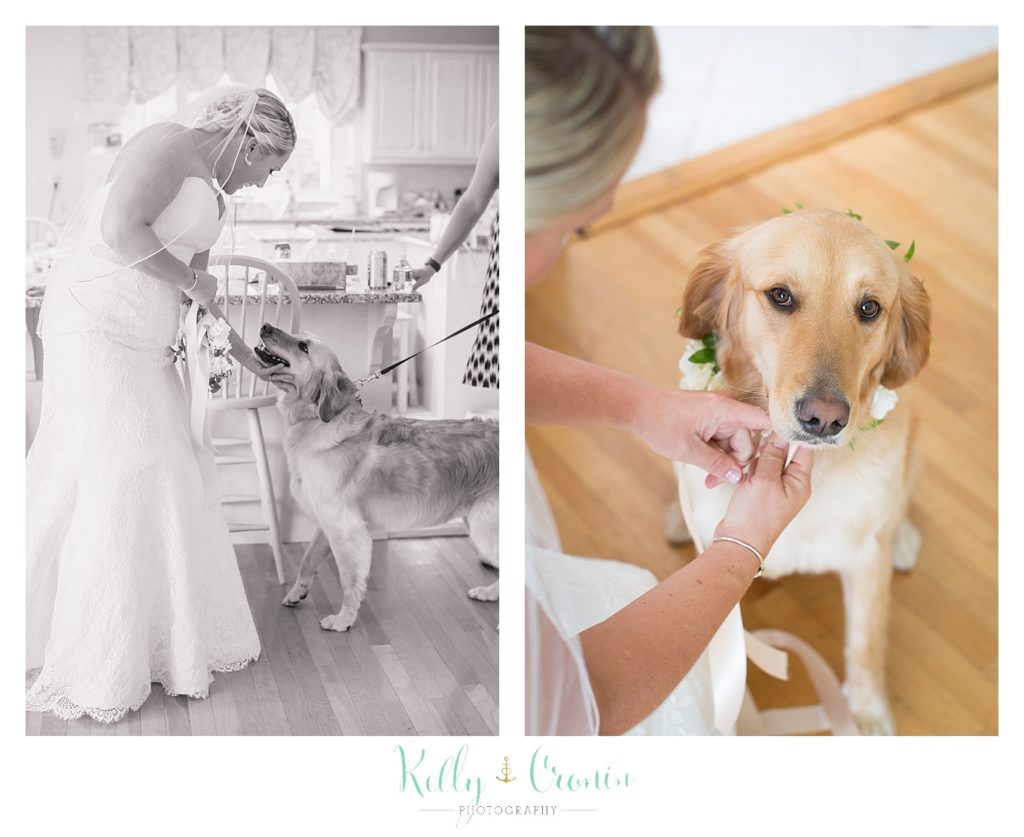 The Popponessett Inn Wedding Photos | Kelly Cronin Photography