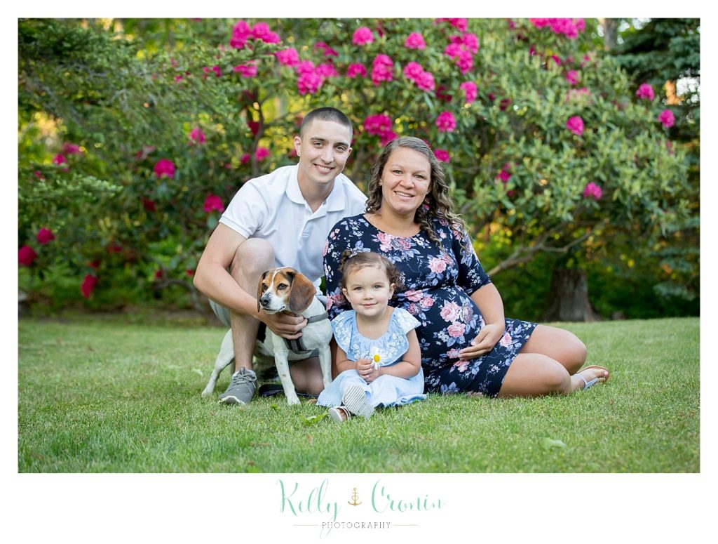 A family sits on some green grass with their dog for some Wildflower Mini Sessions. 