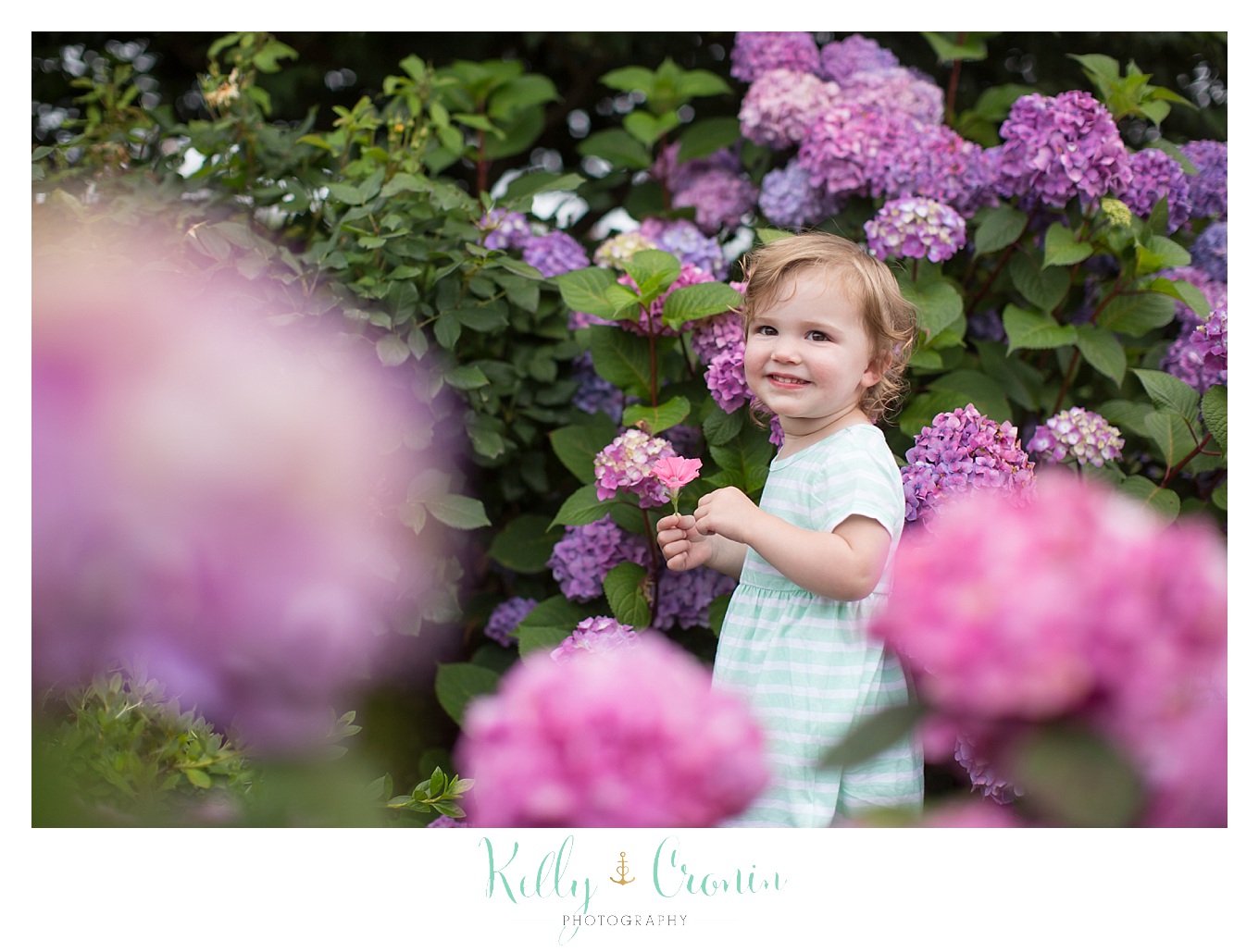 Outdoor Family Pictures with pink flowers.