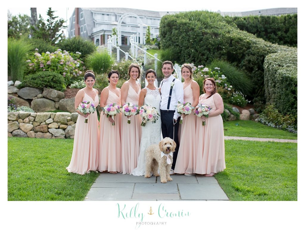 A puppy stands in front of a bridal party as they take a photo. 