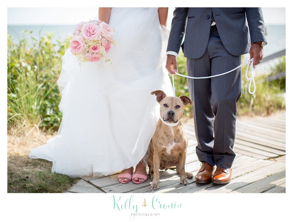 A bride and groom hold their dog at their wedding. 