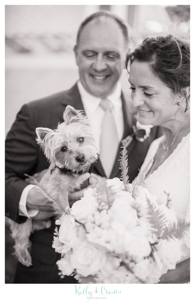 A bride and groom hold their small puppy. 