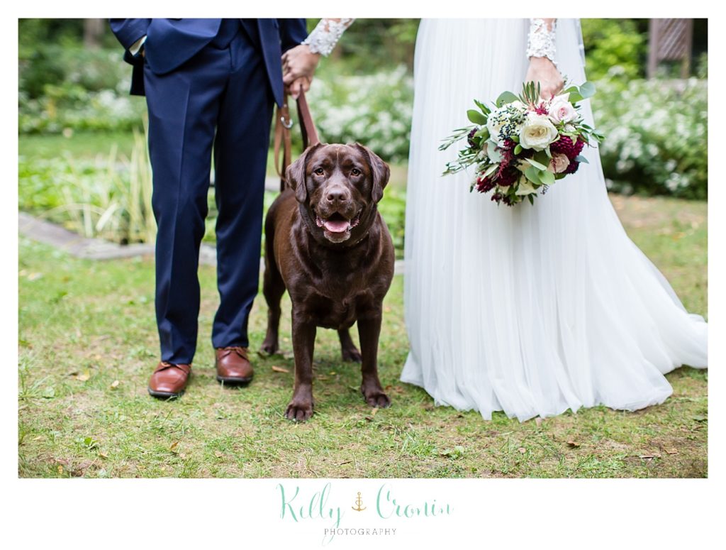 A groom stands with his bride and their puppy. 