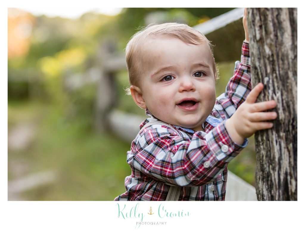 Fall Family Mini Sessions | Kelly Cronin Photography